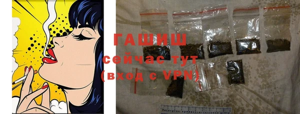 сатива Новодвинск
